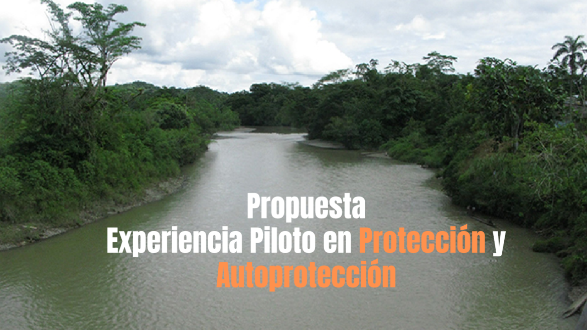 Propuesta Experiencia Piloto en Protección y Autoprotección.