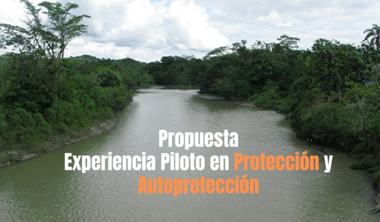 Propuesta Experiencia Piloto en Protección y Autoprotección.