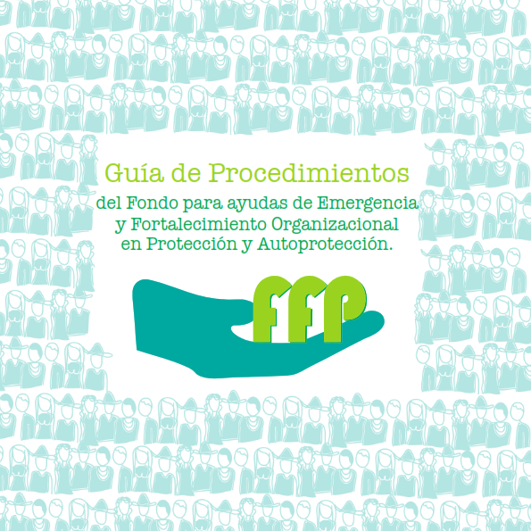 Guía de Procedimientos del FFP