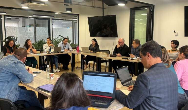 Mesa de Garantías de Bogotá. Subgrupo de Prevención y Protección. Riesgos humanitarios y seguridad para liderazgos sociales en Bogotá